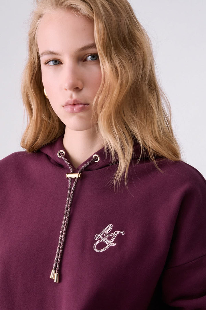 Fleece cotton sweater hoodie with embroidered pattern front view for women liujo