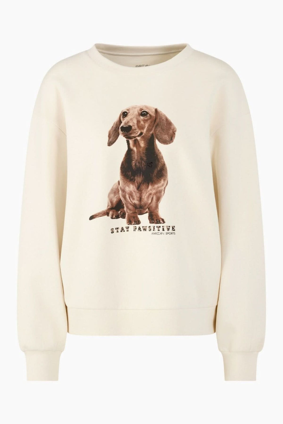 Coton ouaté imprimé chien avec message "Stay Pawsitive", coupe décontractée, manches longues, col rond classique. Look moderne et casual.