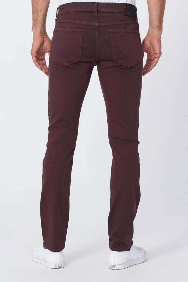 Jean Paige Homme - Pantalon - Jean Paige