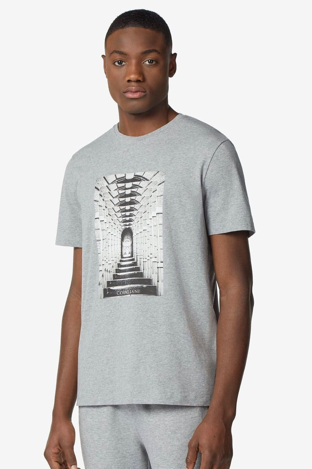 T-shirt graphique pour homme en coton avec imprimé Mantoue, col ras du cou, coupe classique.